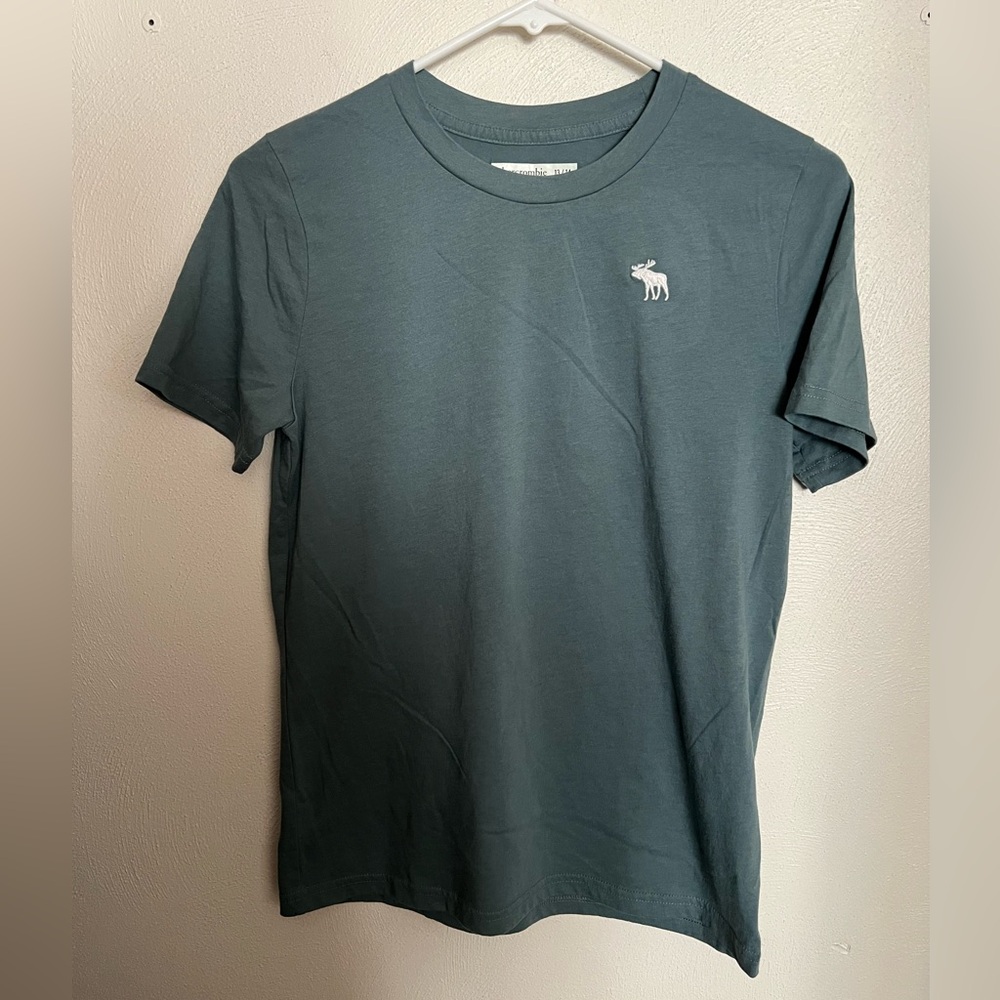 ABERCROMBIE KIDS Classic Embroidered Logo Crewneck T Shirt Green White Boys Sz L